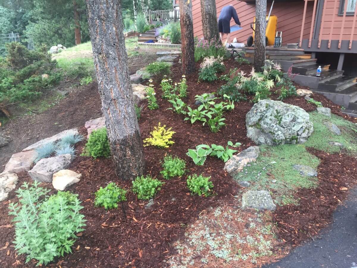Garden Landscaping in Conifer, CO