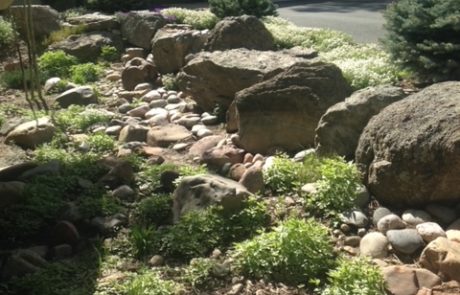 Landscaped stones and bushes surrounding a small streambed, next to a driveway