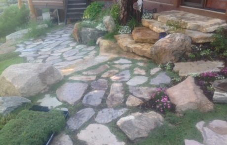 Stone path spaced enough for grass to grow through