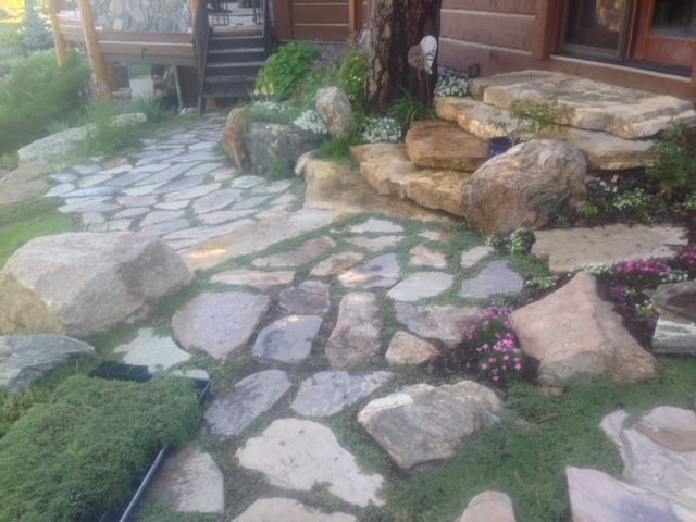 Stone path spaced enough for grass to grow through