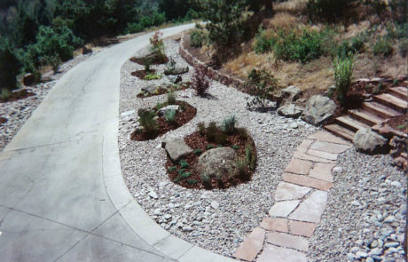 Small pockets of plants within stone landscaping