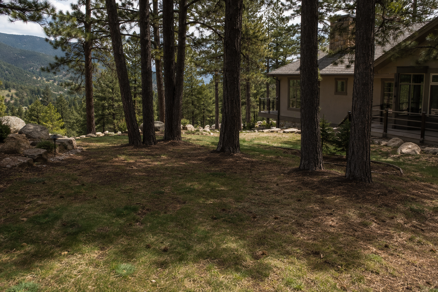 Can Grass Grow in Colorado Mountain Environments Can Grass Grow in Colorado Mountain Environments?